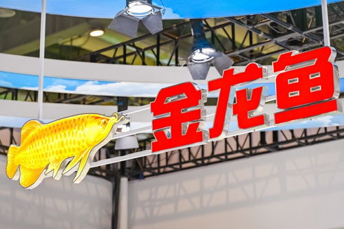 計(jì)算機(jī)軟件技術(shù)開(kāi)發(fā) 驅(qū)動(dòng)產(chǎn)業(yè)變革與創(chuàng)新的核心引擎