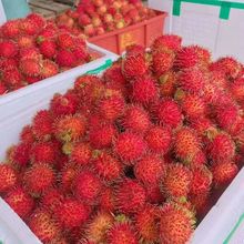 紅毛丹 熱帶佳果的批發(fā)采購與市場機遇